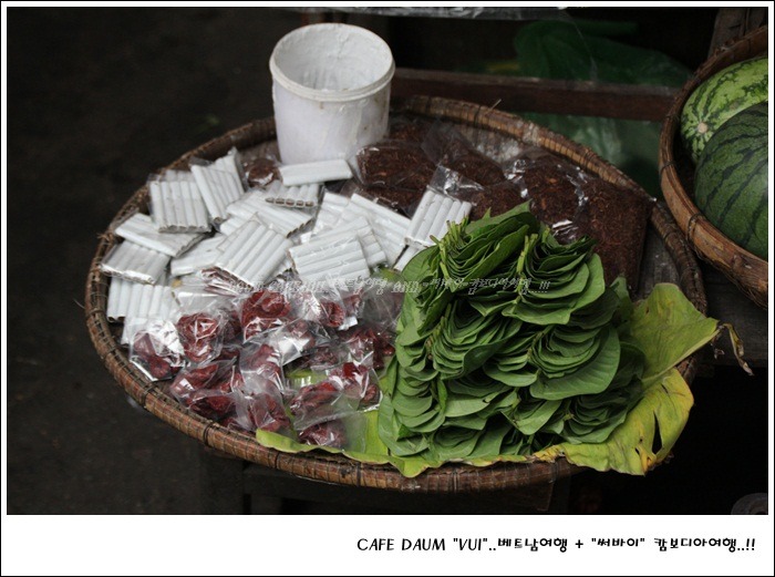 바른담뱃잎 이미지