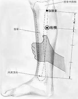 태음 이미지