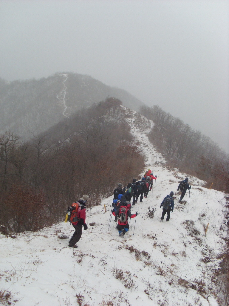 나리다방 이미지