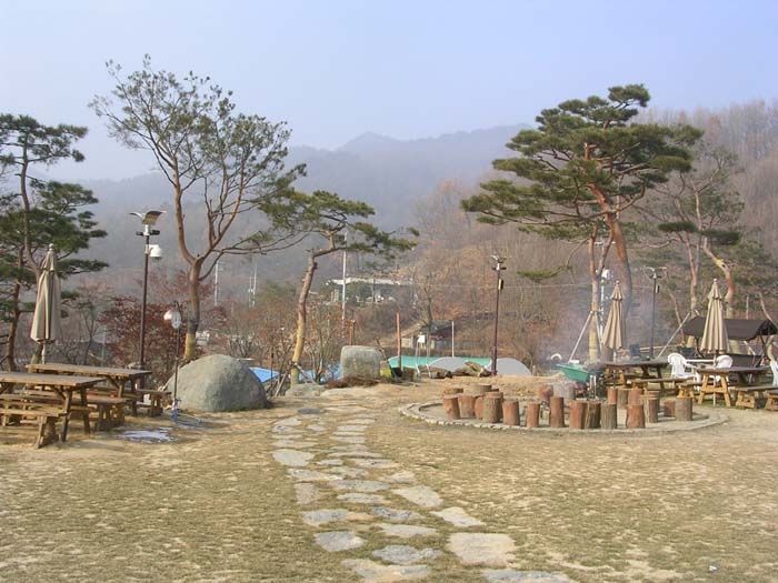 Lee's 이미지