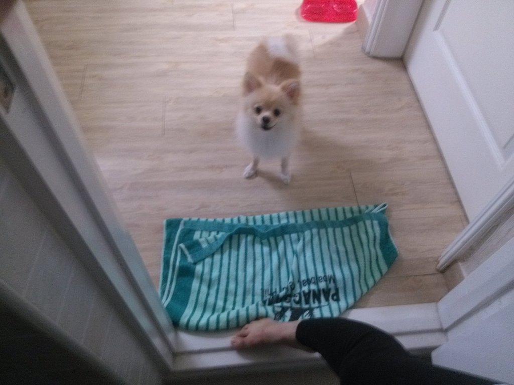 도도컴 이미지