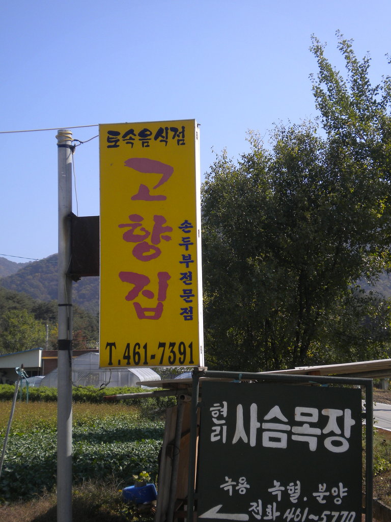 고향집 손두부 이미지