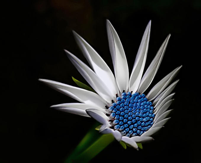 1519BF0949585F7CB5C26F