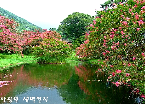 산길 이미지