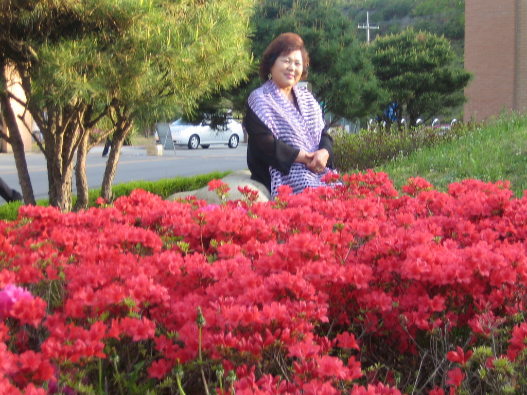 영덕상회 이미지