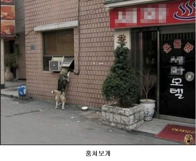 참 이미지