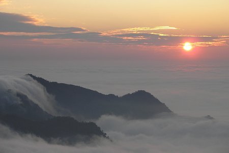 아리산 이미지