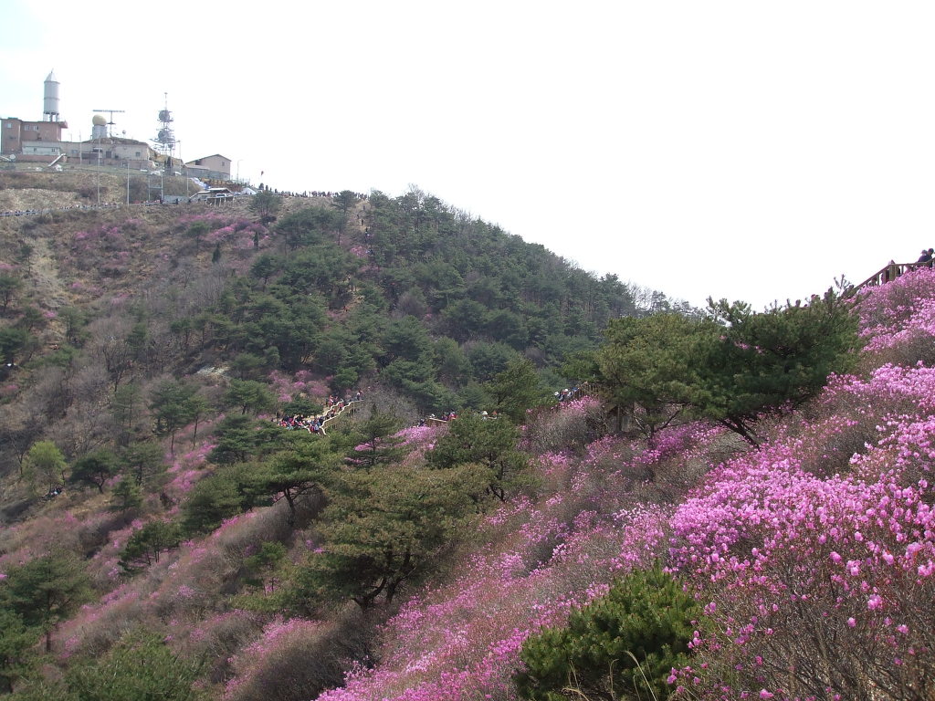 꼬마대장 이미지