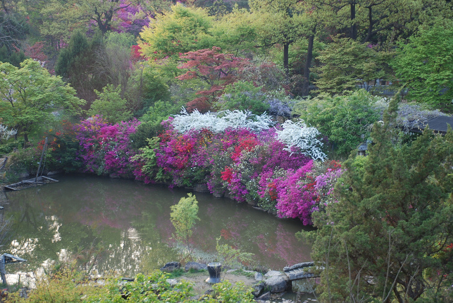 석화촌 이미지