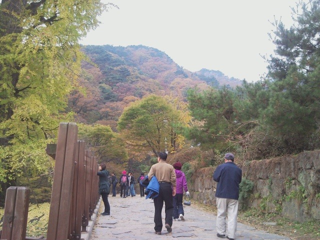 용문사 이미지