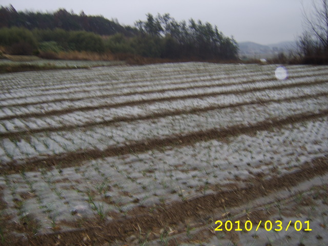 나눔농장 이미지