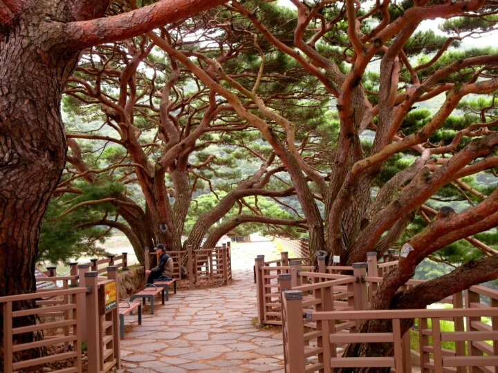 양산법기수원지 | 인스티즈