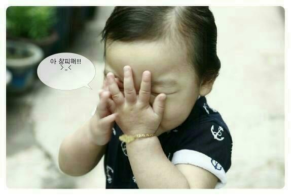 콩깍지 이미지