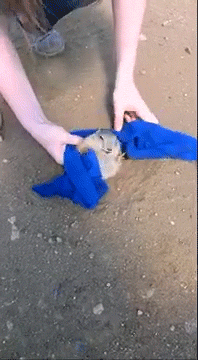 피지 제거.gif | 인스티즈