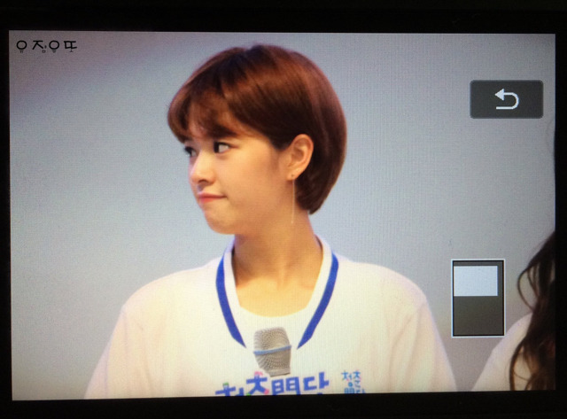 몽글몽글해진 트와이스 정연.jpg | 인스티즈