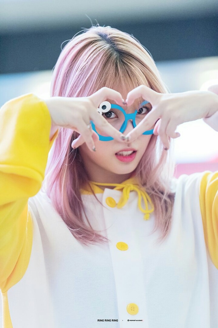 [트와이스] 쿠키몬스터 안경을 쓴 모모 | 인스티즈