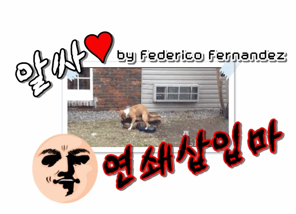 댄스타임~.gif | 인스티즈