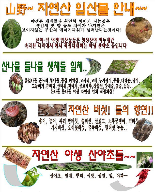 백두산야초 이미지