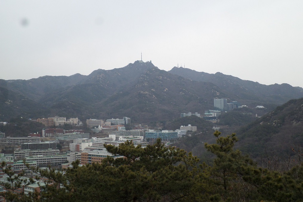 모자로와 이미지
