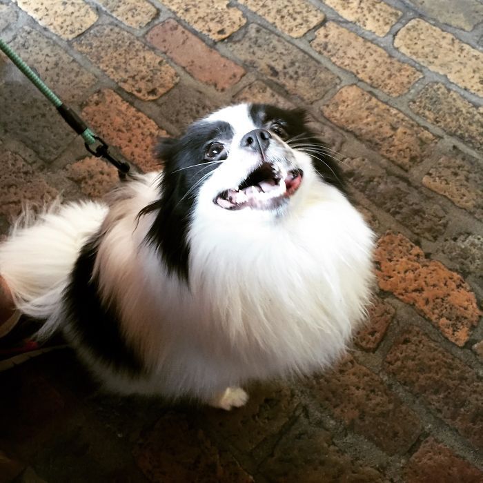 2125323A5602AC09215F79