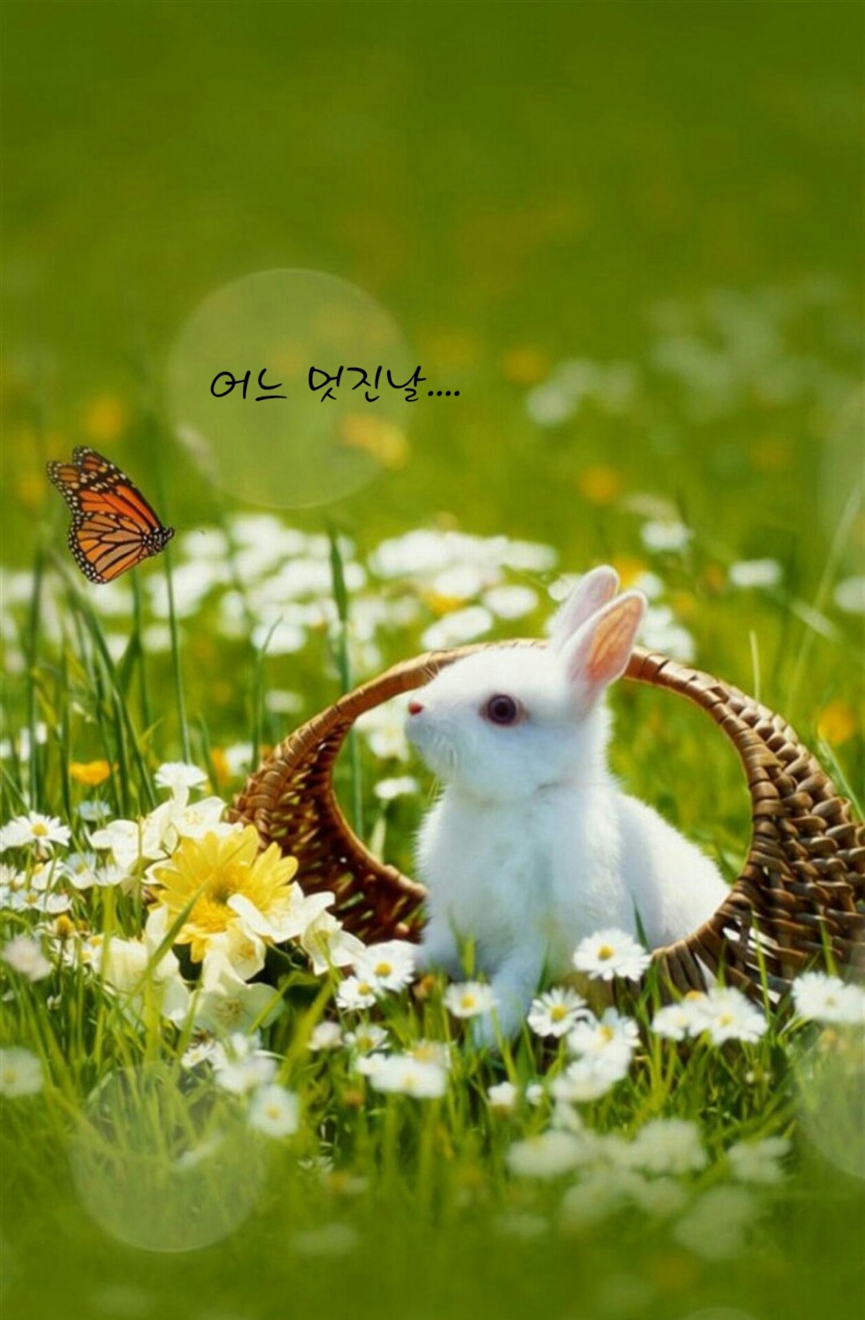 순돌이네 이미지