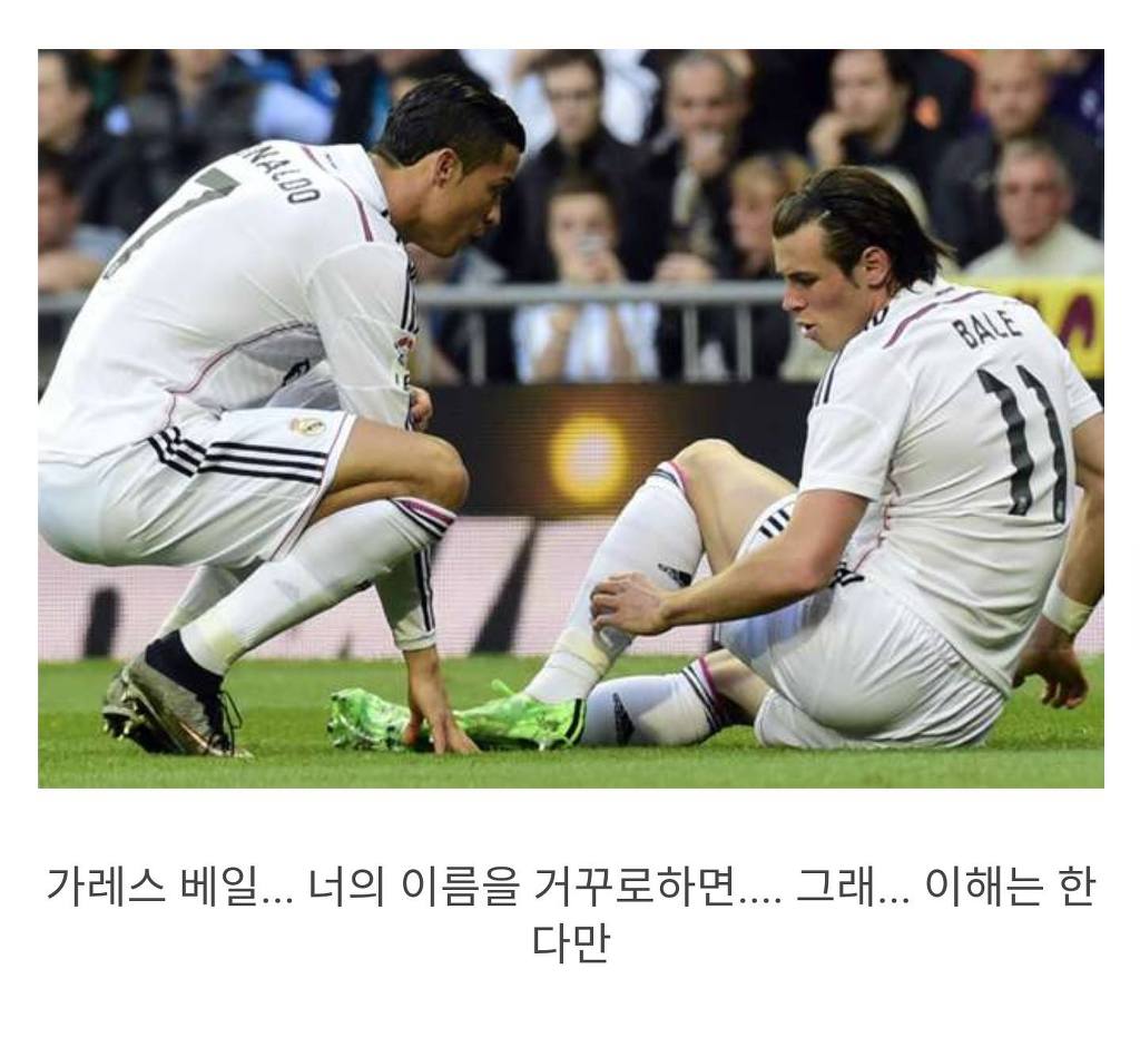 투표 격려하는 메 호두 | 인스티즈