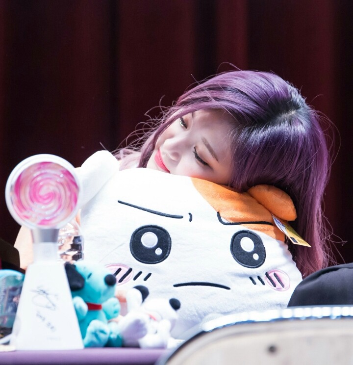 [트와이스] 멍뭉이 같은 쯔위 | 인스티즈