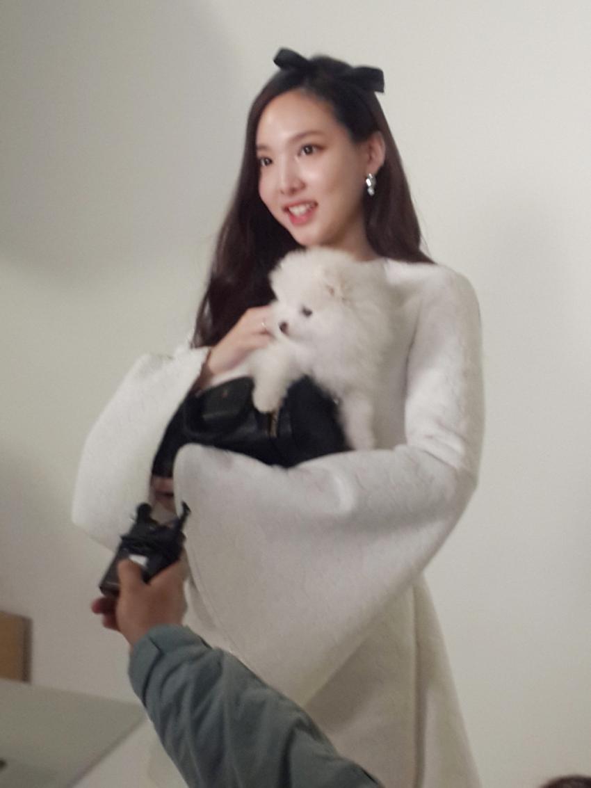 [트와이스] 광고 촬영 중 멍뭉이에 정신팔린 맴버들 ㅋㅋ | 인스티즈