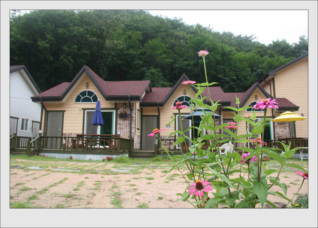 솔수펑이펜션 이미지