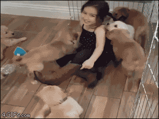 무참히 공격 당하는 여자아이.gif | 인스티즈
