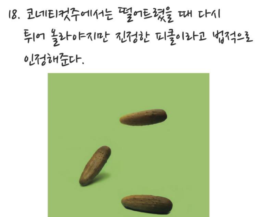 세계 황당한 법률 | 인스티즈