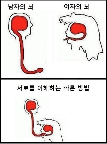 남자와 여자가 서로를 빨리 이해하려면 | 인스티즈