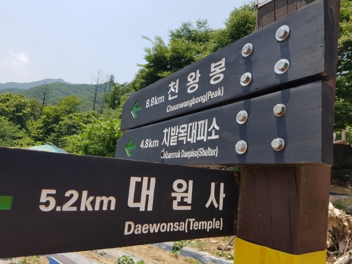 새재골산장민박 이미지