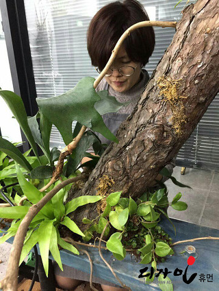 휴먼인테리어 이미지