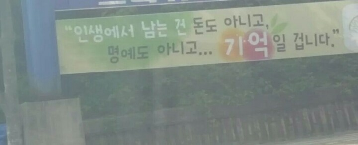 인생에서 남는건 돈도 아니고 명예도 아니고 71억일겁니다 | 인스티즈