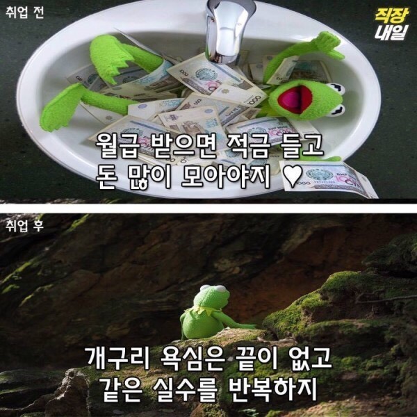 직장인이 되기 전/후 | 인스티즈