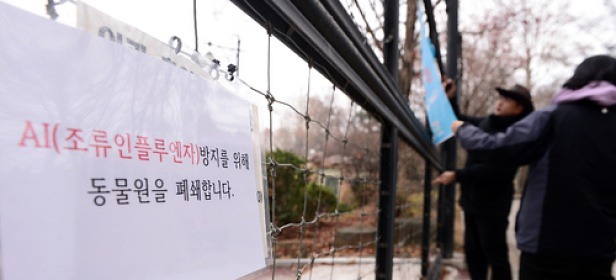 2016년 바보년 사건사고 | 인스티즈