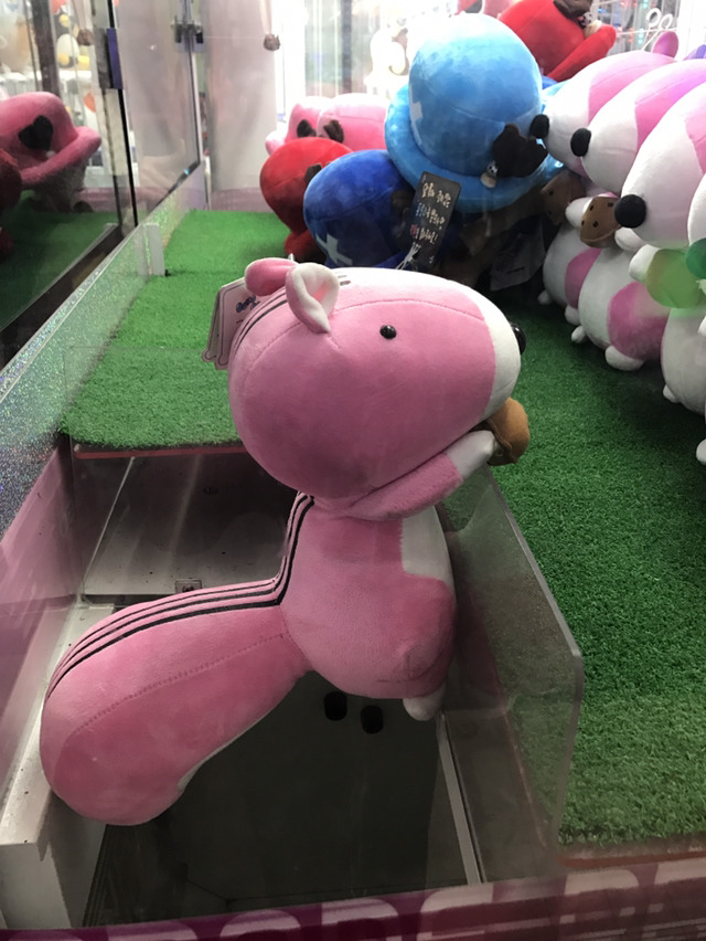 운좋은 인형들 | 인스티즈