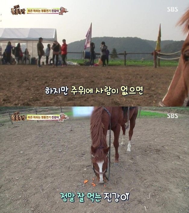 진강 이미지