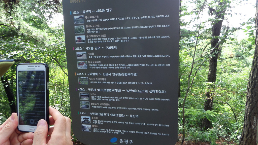 참나무 숲길 이미지
