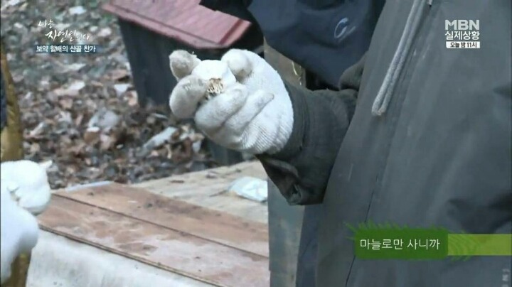 나는 자연인이다 마늘성애자 (마늘주의) | 인스티즈