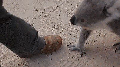 만져주는걸 좋아하는.gif | 인스티즈