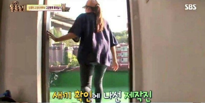 동물농장 PD의 역대급 당황 | 인스티즈