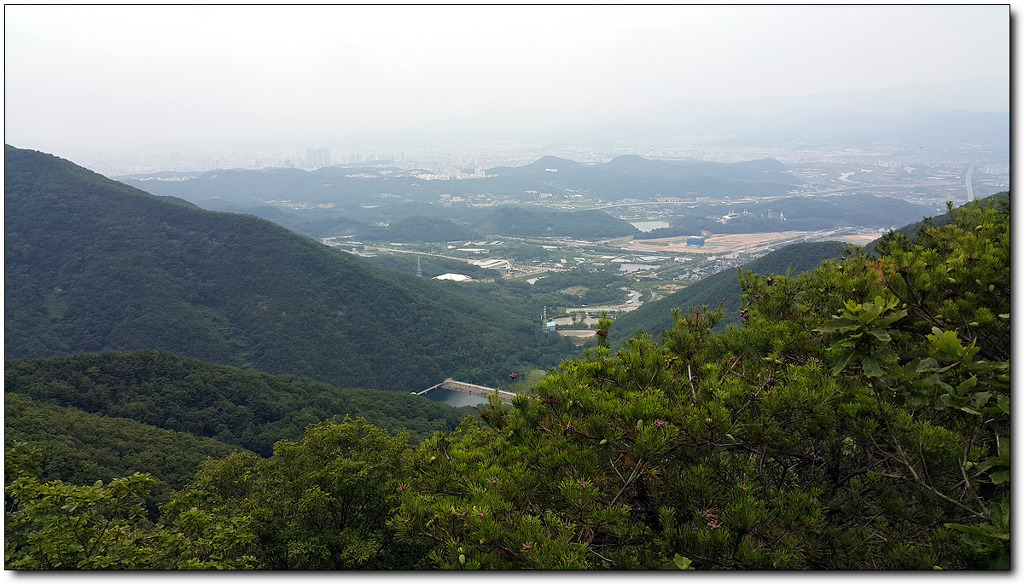 솔밭정 이미지