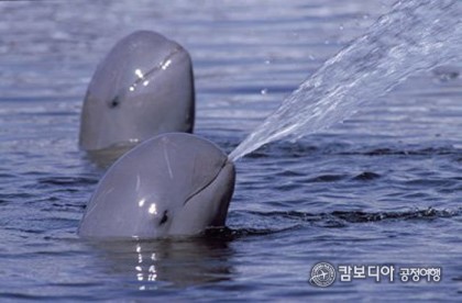 공감 100％ 도전 | 인스티즈