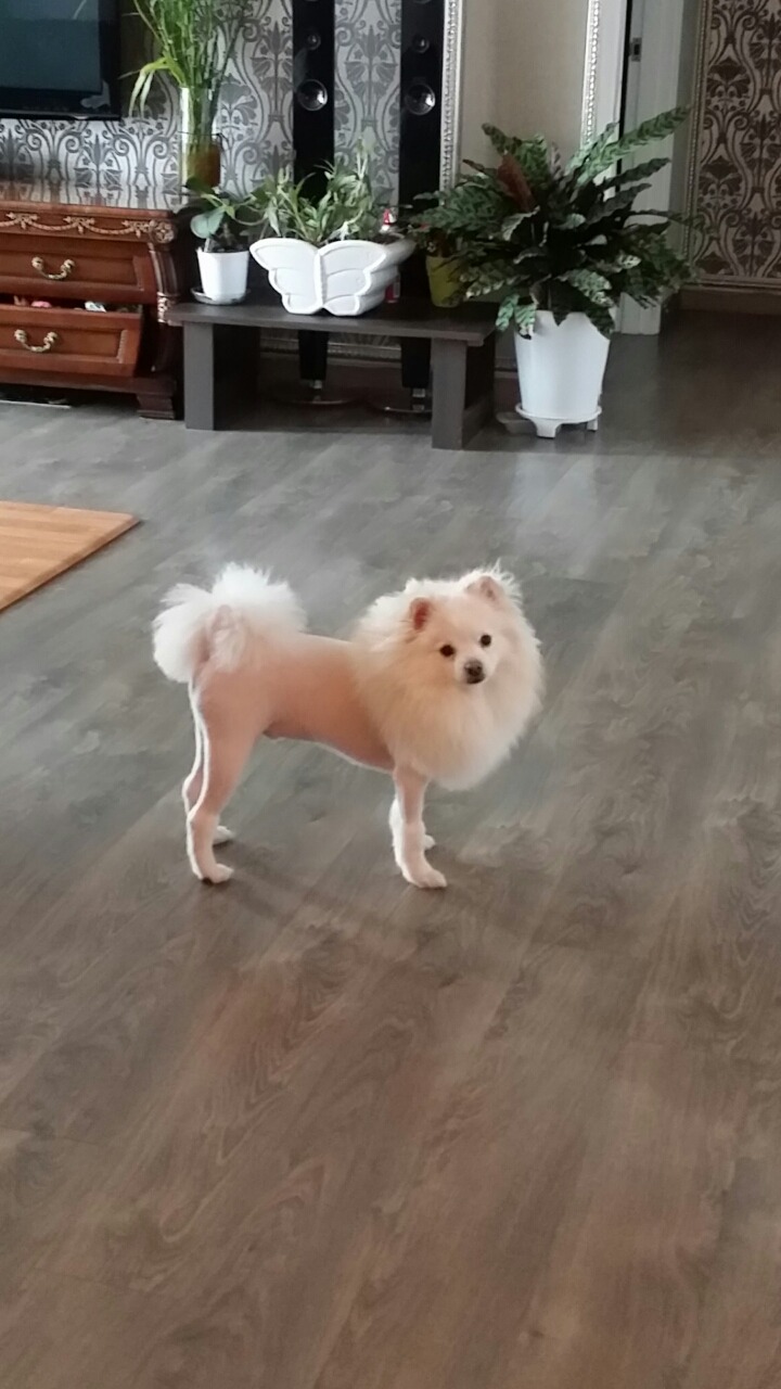 봉구 이미지