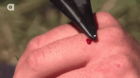 겁이 뭔지 잊어버린 동물 전문가.gif | 인스티즈
