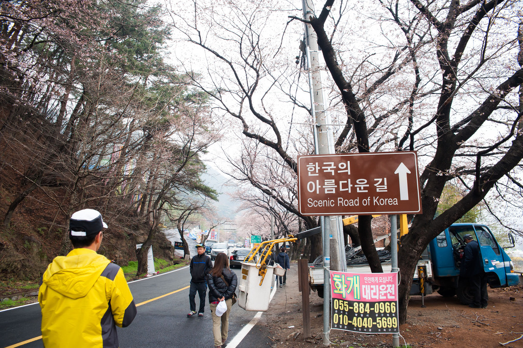 리나 이미지