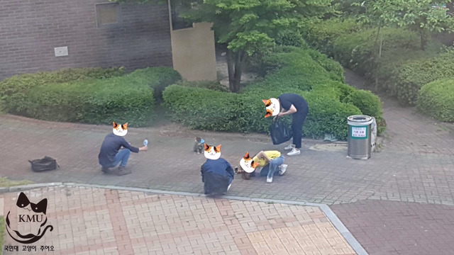 고양이가 있는 학교의 흔한 풍경.jpg | 인스티즈