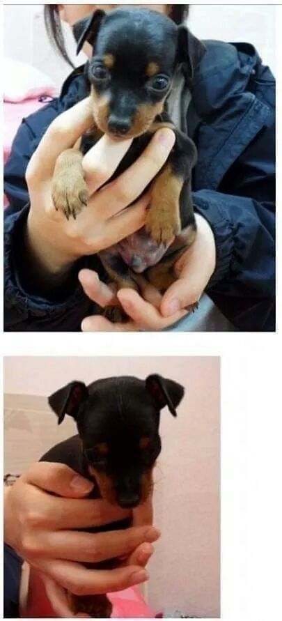 애지중지 이미지